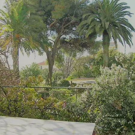 Apartment Very Nice 2 Bedroom With Its Sunny Terrace Cannes